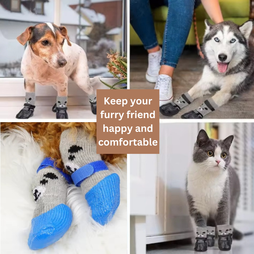 Cozy Paws