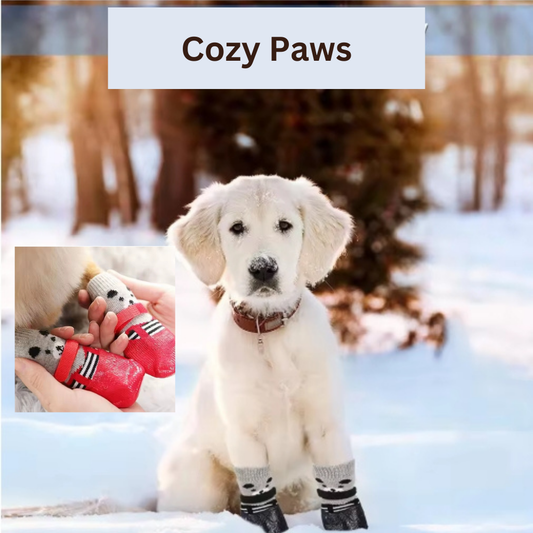 Cozy Paws